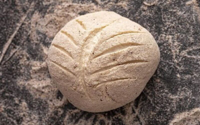 Fermentación de masa madre: Técnicas Artesanales que se retoman en Panadería