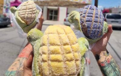 Panadería PANI presenta las «Conchaelotes»: tradición y creatividad en una sola pieza