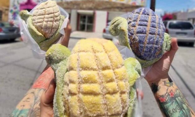 Panadería PANI presenta las «Conchaelotes»: tradición y creatividad en una sola pieza